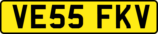 VE55FKV
