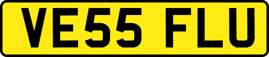 VE55FLU