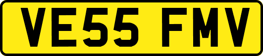 VE55FMV