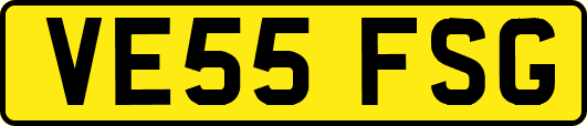 VE55FSG