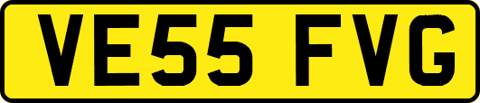 VE55FVG