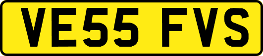 VE55FVS