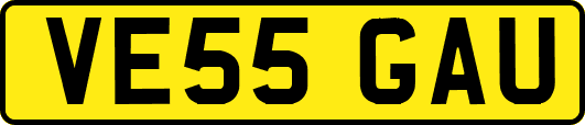VE55GAU