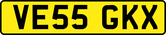 VE55GKX