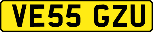 VE55GZU