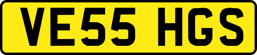 VE55HGS