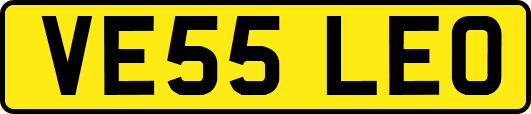 VE55LEO