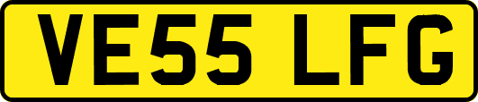 VE55LFG