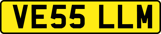 VE55LLM
