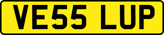 VE55LUP
