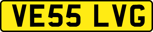 VE55LVG