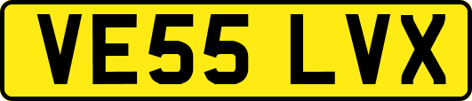 VE55LVX