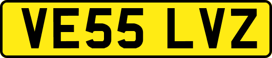VE55LVZ