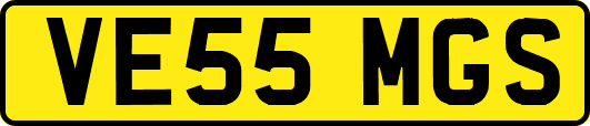 VE55MGS