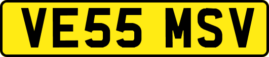 VE55MSV