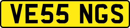 VE55NGS