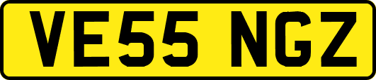VE55NGZ