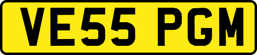 VE55PGM