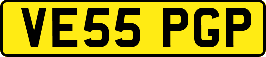 VE55PGP
