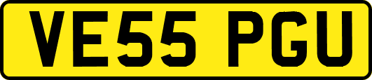 VE55PGU