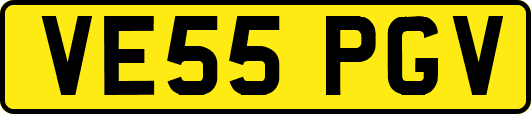 VE55PGV