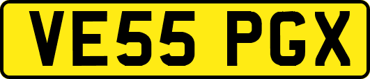 VE55PGX