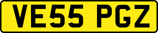 VE55PGZ