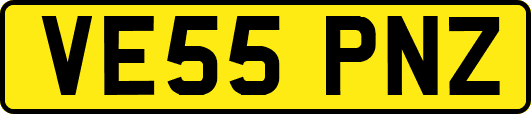 VE55PNZ