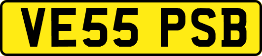 VE55PSB