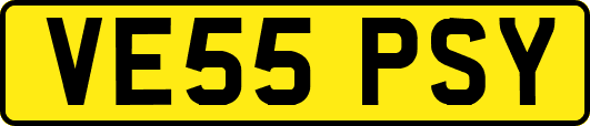 VE55PSY