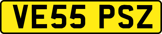 VE55PSZ