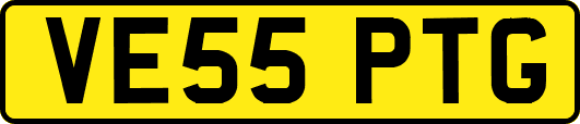 VE55PTG
