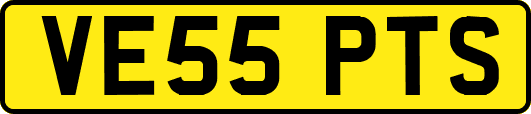 VE55PTS