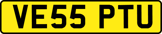 VE55PTU