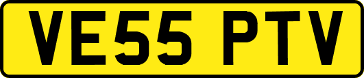 VE55PTV