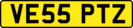 VE55PTZ