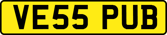 VE55PUB