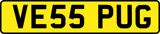 VE55PUG