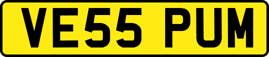 VE55PUM