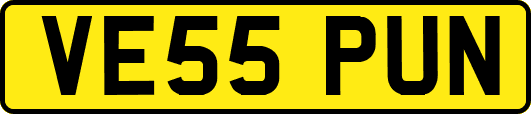 VE55PUN
