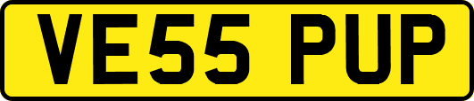 VE55PUP