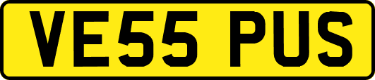 VE55PUS