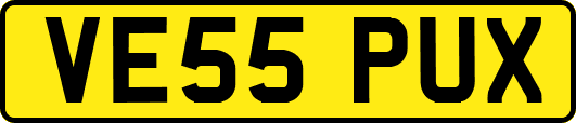 VE55PUX