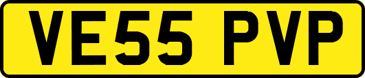 VE55PVP