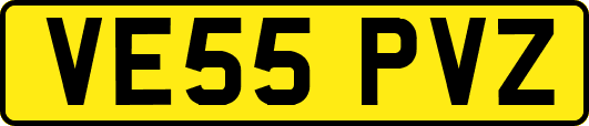 VE55PVZ