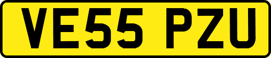 VE55PZU
