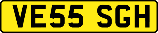 VE55SGH