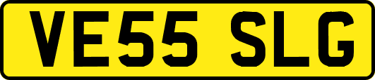 VE55SLG