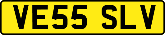 VE55SLV