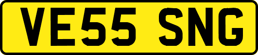 VE55SNG